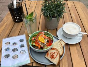 Beilagensalat, Meowjito & großer Cappuccino   at Katzentempel - Hamburg in Hamburg