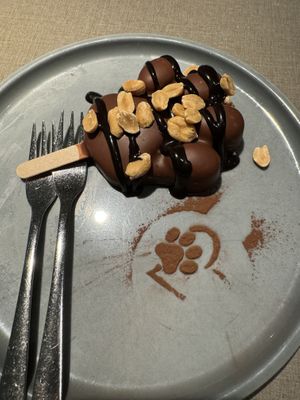 Don‘t call it Snickers 💓  at Katzentempel - Hamburg in Hamburg