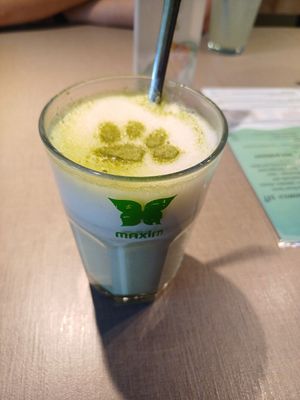  at Katzentempel - Hamburg in Hamburg