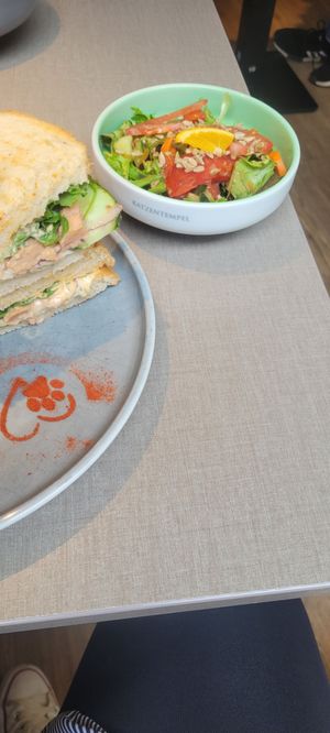  at Katzentempel - Hamburg in Hamburg