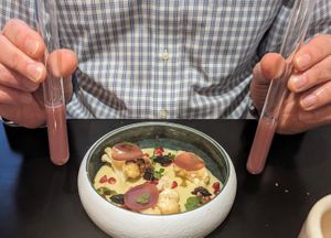  at Sensible in Montpellier