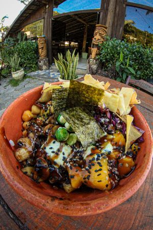 Poke vegano at Taboo Tiki Bar in Florianopolis