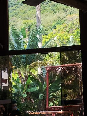 Feels as at the jungle as a tiki should be, awesome !! at Taboo Tiki Bar in Florianopolis