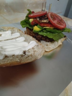  at Matargashti in Villarrica