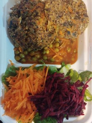  at Matargashti in Villarrica