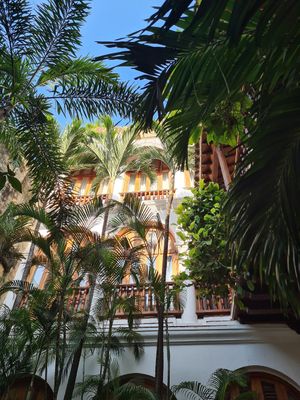 wow! at Alma in Cartagena