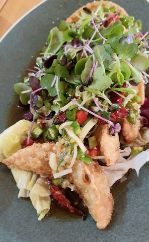 Fried dumplings in hot and sour sauce 유린만두 샐러드 at ALT.a - Dosan in Seoul