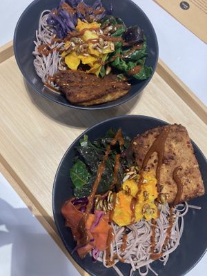   at Daily Bowl in Exeter