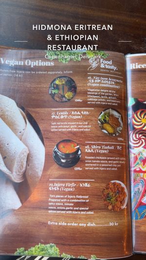  at Hidmona in Copenhagen