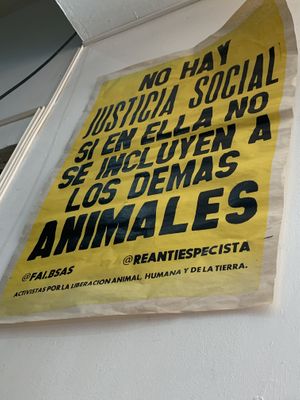 😍  at La Vegana in Buenos Aires