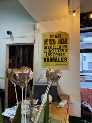 Inside  at La Vegana in Buenos Aires