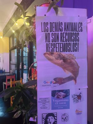   at La Vegana in Buenos Aires