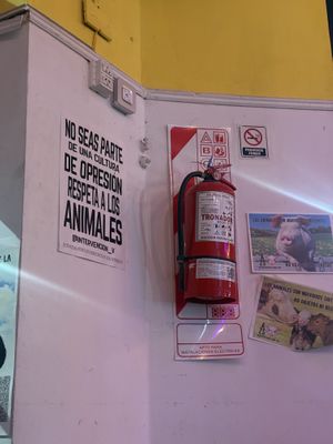   at La Vegana in Buenos Aires