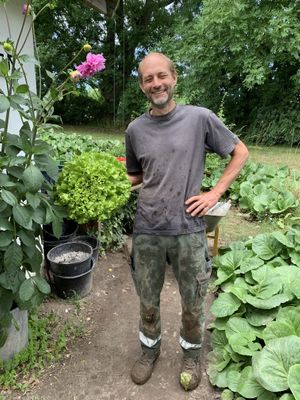 Lettuce   at Grønt Fra Kolsbæk in Helsinge