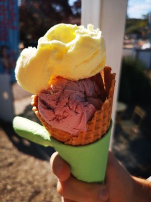 Blueberry on bottom, pineapple and coconut on top at Rubie's Place in Dwellingup