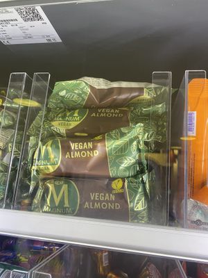 Vegan Ice Cream Bars  at Kaffi Kvika in Myvatn