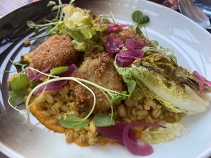 Vegan croquettes   at Lava Restaurant in Grindavik