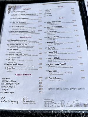 Fabulous choices  at Crispy Dosa in Windsor