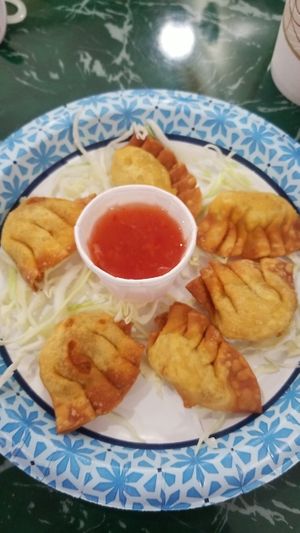 Wontons at Lotus Vegan Restaurant in Pinellas Park