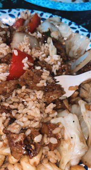 really not sure how this kung pao protein wasn’t actual meat 🥸 at Lotus Vegan Restaurant in Pinellas Park