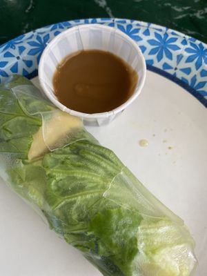 Spring roll; one of two I already ate the other one  at Lotus Vegan Restaurant in Pinellas Park