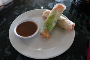 spring rolls at Lotus Vegan Restaurant in Pinellas Park