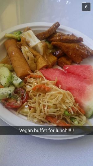 Plate of food from their monthly buffet at Lotus Vegan Restaurant in Pinellas Park