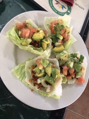 Raw taco   at Lotus Vegan Restaurant in Pinellas Park