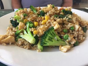 Heavenly Fried Brown Rice at Lotus Vegan Restaurant in Pinellas Park