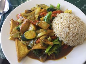 tropical mixed vegetables, tofu and brown rice.  at Lotus Vegan Restaurant in Pinellas Park