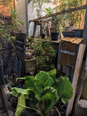  at TU CASA - Zero waste & Plant based トゥ・カサ in Kyoto