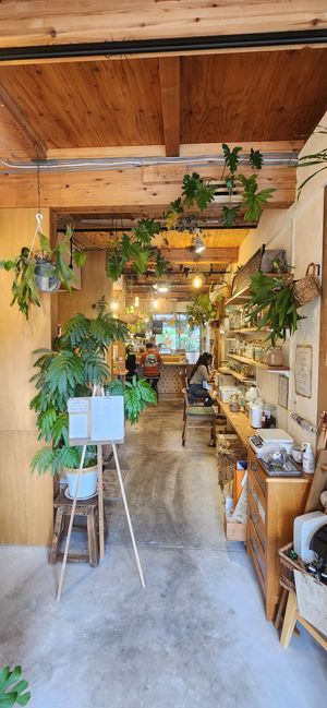 Inside at TU CASA - Zero waste & Plant based トゥ・カサ in Kyoto