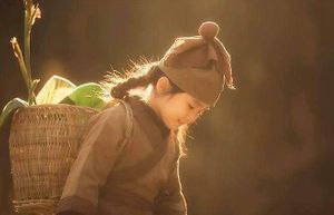  at Be Chay Vegetarian in Da Nang