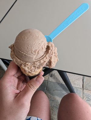 Hazelnut at Gelats Garau in Mallorca