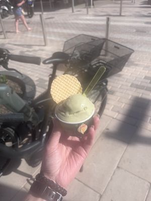   at Gelats Garau in Mallorca