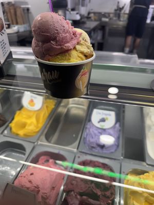  at Gelats Garau in Mallorca