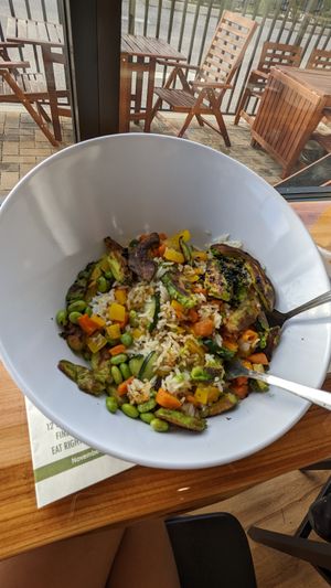  at Cocoa Yoga Cafe in North Port