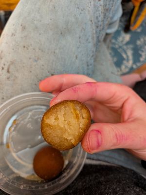 Nice texture, soaked in thick sugar syrup at Namaste Garden in Essex Junction