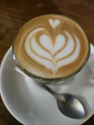 Cortado / Gibraltar with oatmilk at Temple Coffee in Sacramento