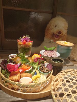 Outside space can eat lunch  with dog . at Cotonoha  in Kamakura