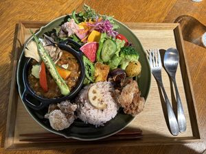 Vegan Curry  at Cotonoha  in Kamakura
