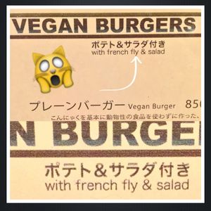 poorly written menu that tries to feed you French Flies  at Matsuontoko Cafe in Kyoto