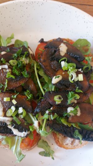 Mushrooms on toast at Dill's Cafe & Store in Falmouth