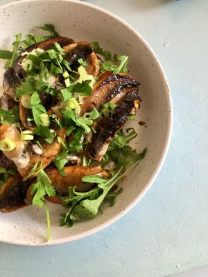 Miso beans on toast with vegan cream cheese, tomatos and rocket  at Dill's Cafe & Store in Falmouth