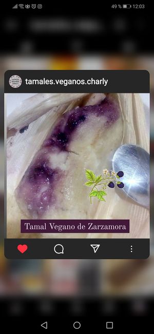 Tamal vegano de zarzamora at Tamales Veganos Charly in Mexico City