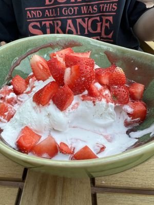Vegan vanilla ice cream with strawberries and cream  at Das Jaartn in Berlin