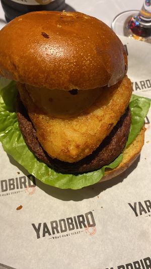   at The Dirty Onion and Yardbird in Belfast