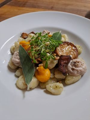 Gnocchi, Salbeibutter, Kürbiscreme, Walnuss-Pistazien Ricotta, Kräuterseitlinge   at Velo Heilbronn in Heilbronn