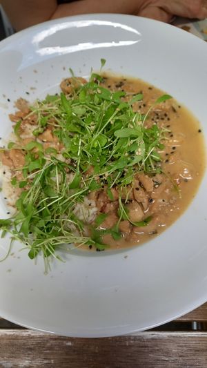 daily special (15€ but includes a side salad) at Velo Heilbronn in Heilbronn