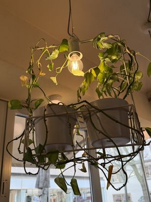 inside  at Velo Heilbronn in Heilbronn